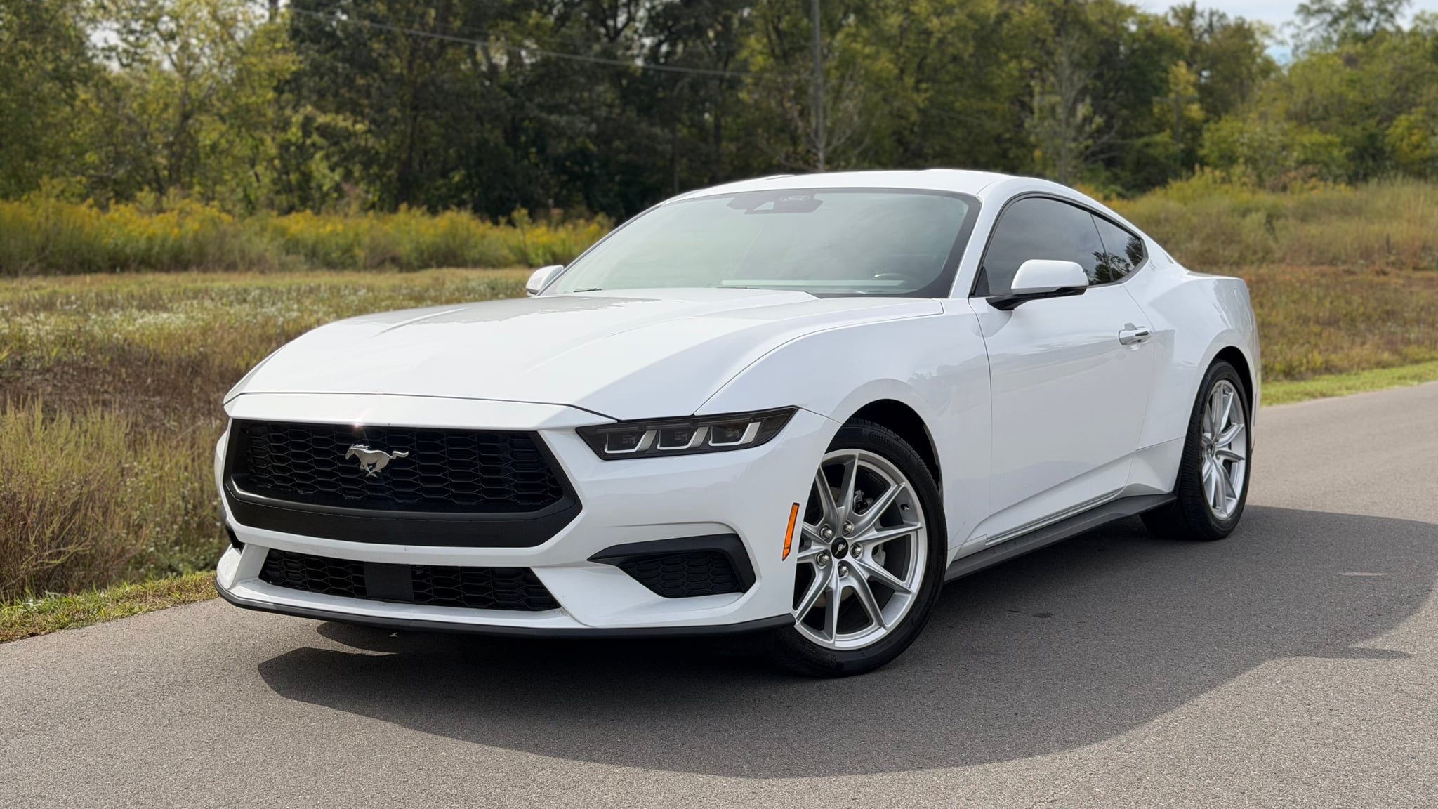 2024 FORD Mustang - Image 1
